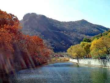 新澳天天开奖资料大全旅游团，汽车之家闫闯